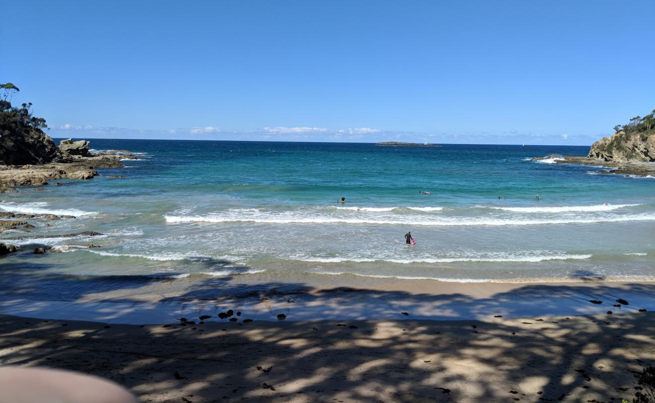 Foto af Circuit Beach med lys sand overflade