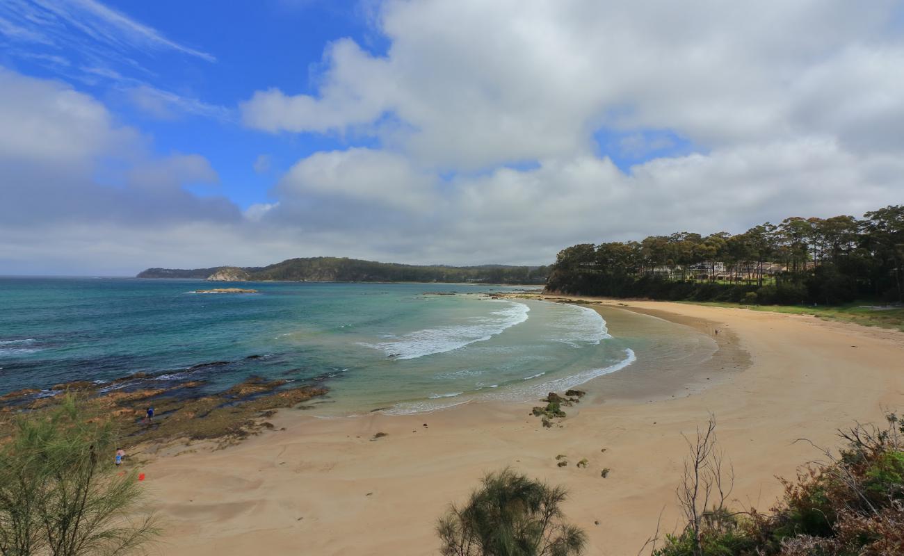 Foto af Denhams Beach med lys sand overflade