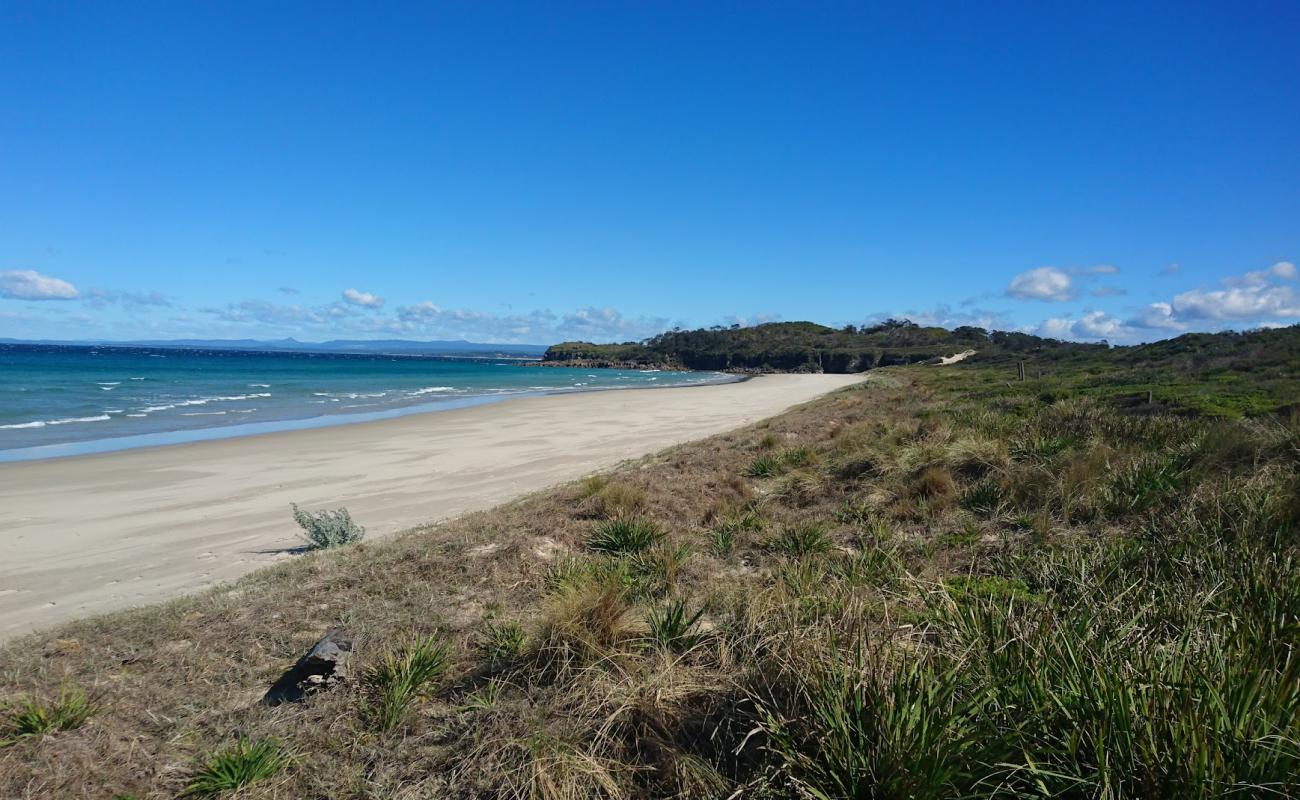 Foto af Cave Beach med lys fint sand overflade