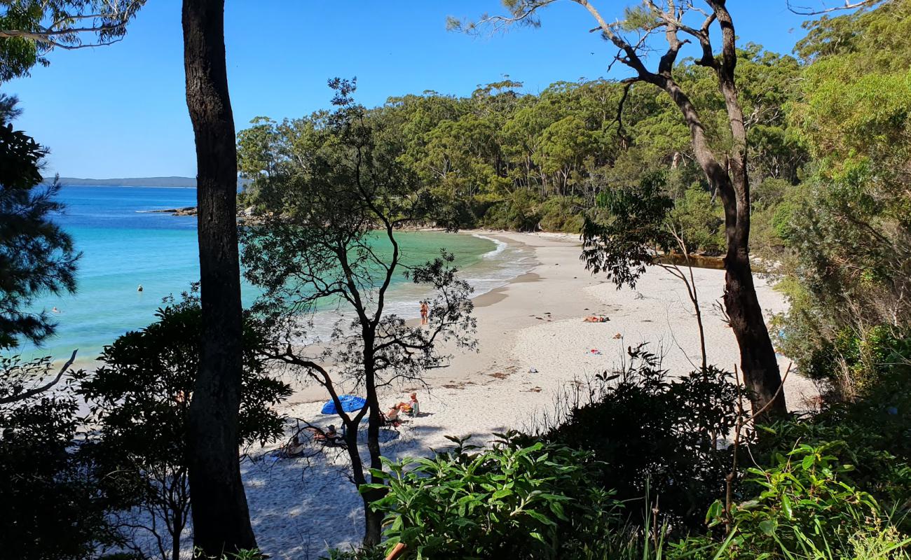 Foto af Blenheim Beach med hvidt fint sand overflade