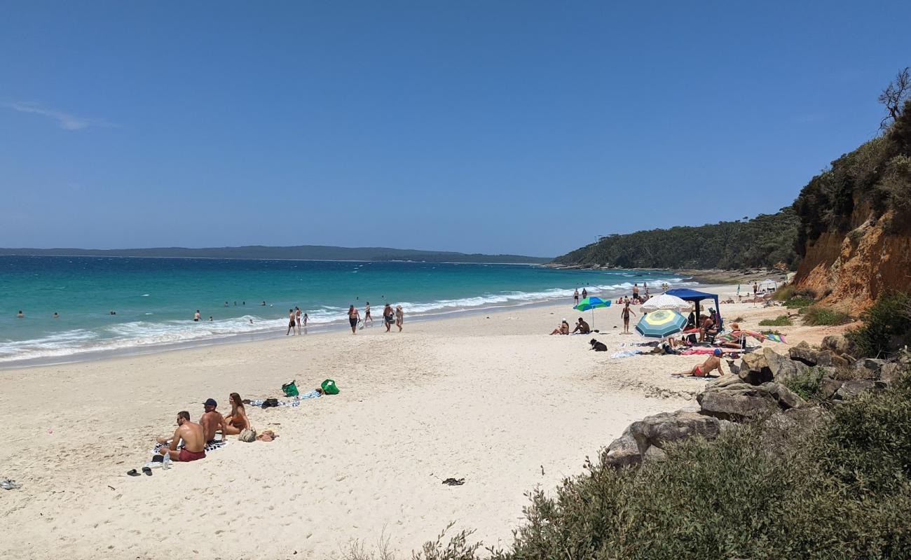 Foto af Nelsons Beach med lys fint sand overflade