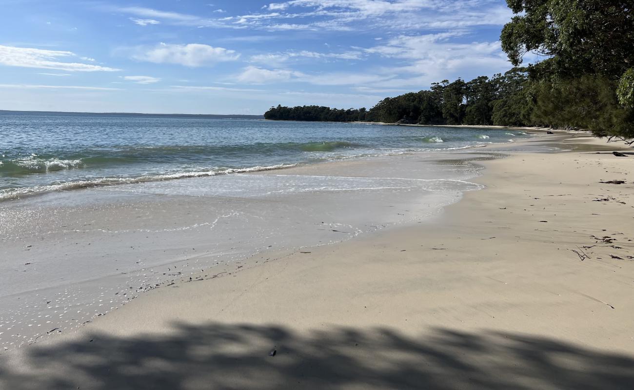 Foto af Orion Beach med lys sand overflade