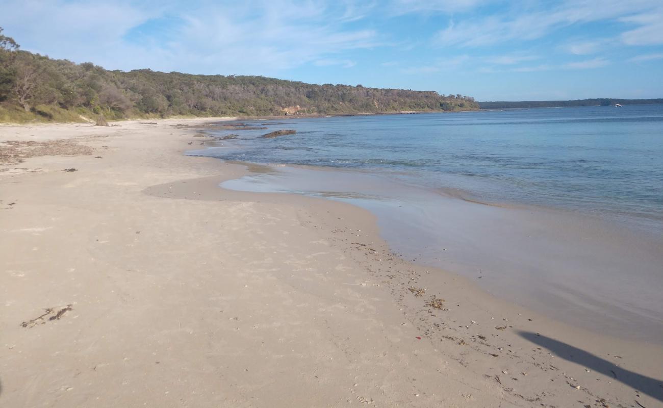 Foto af Cabbage Tree Beach med lys sand overflade