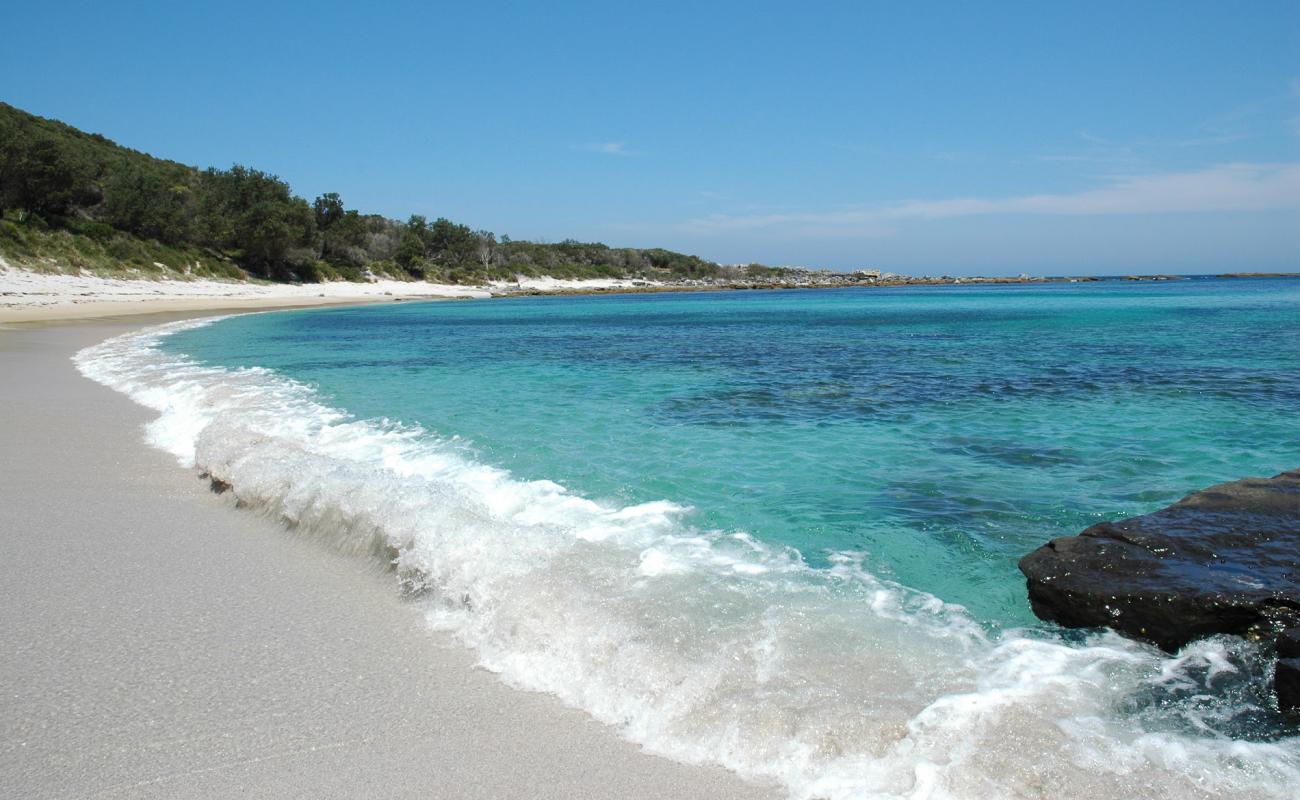 Foto af Silica Cove Beach med lys sand overflade