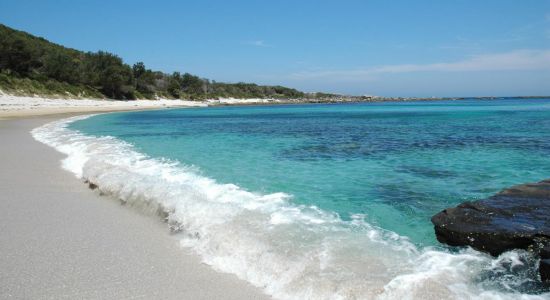 Silica Cove Beach