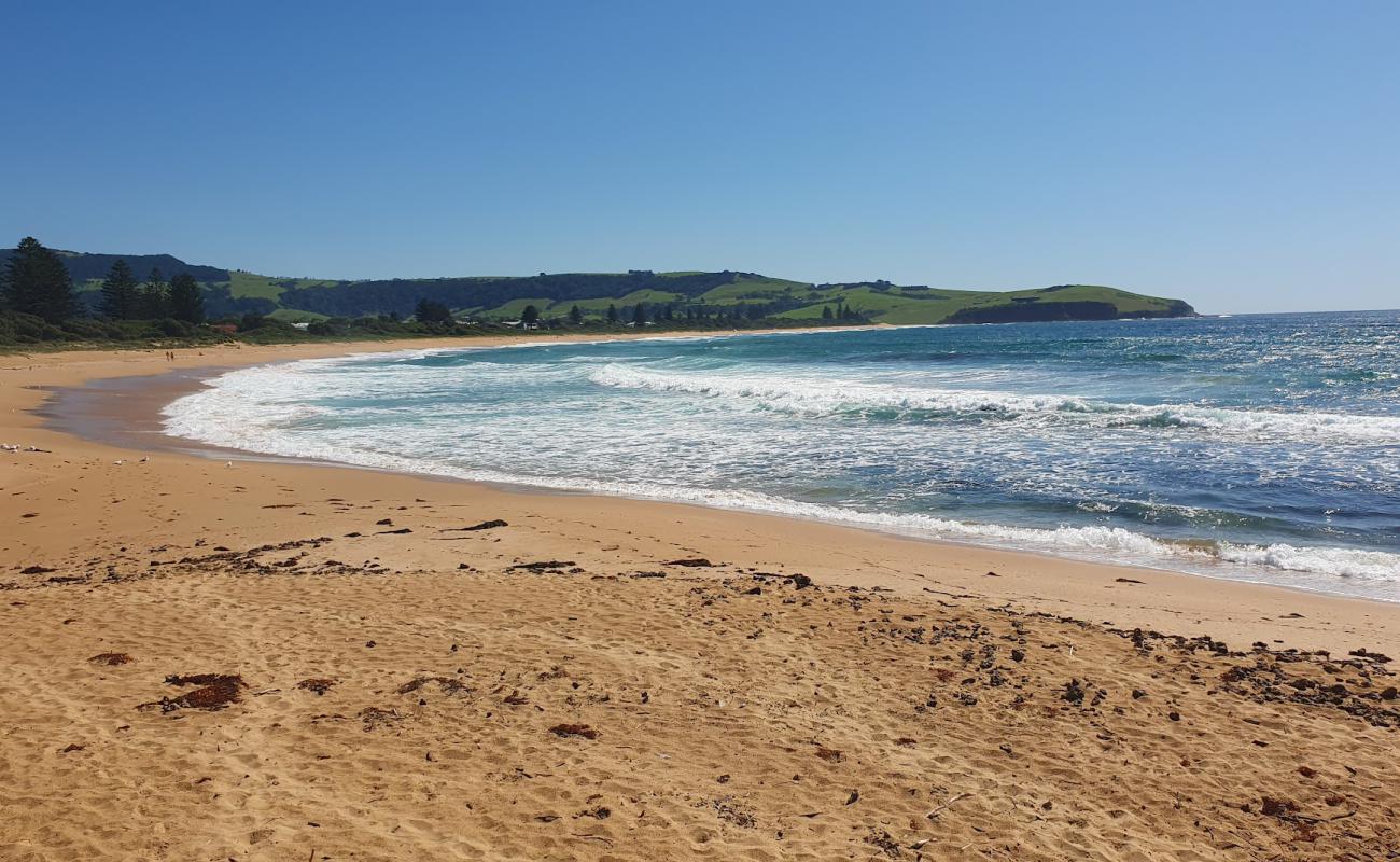 Foto af Werri Beach med lys fint sand overflade