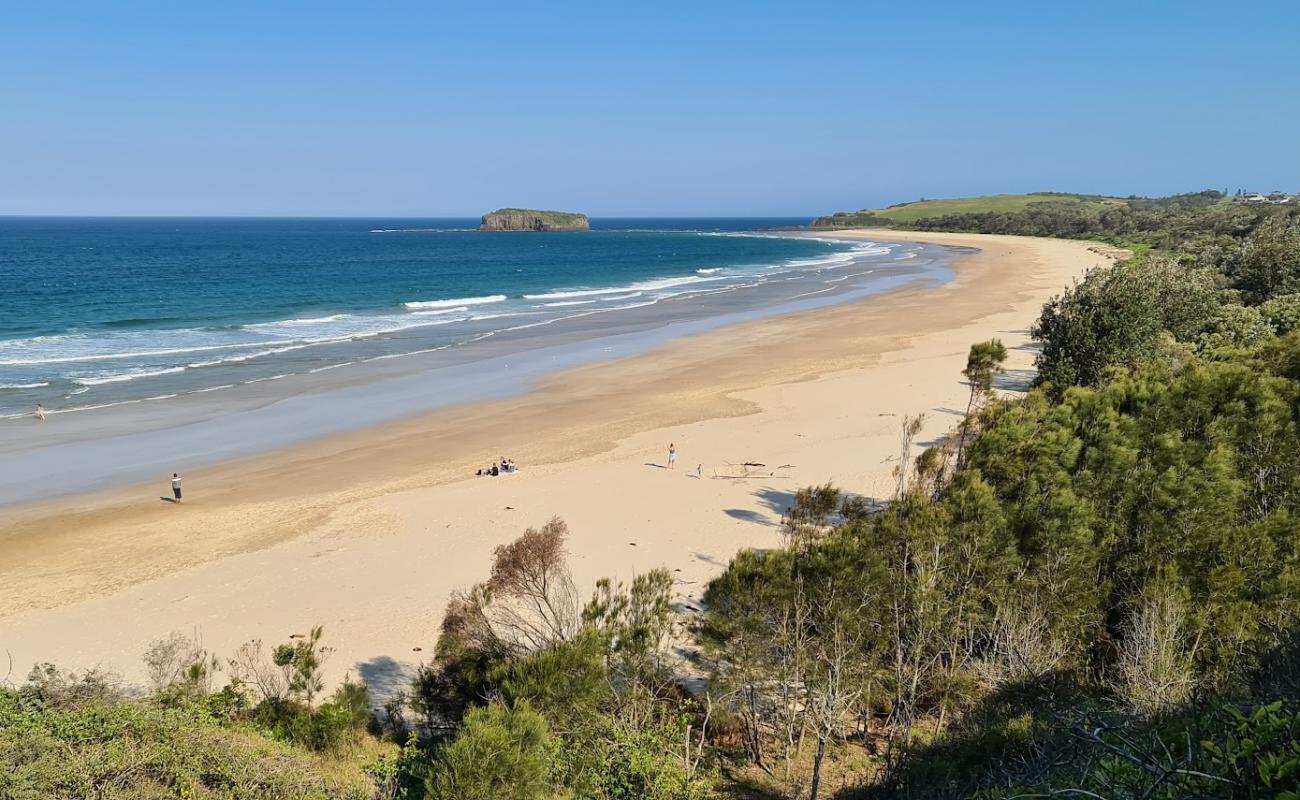 Foto af Minnamurra Beach med lys fint sand overflade