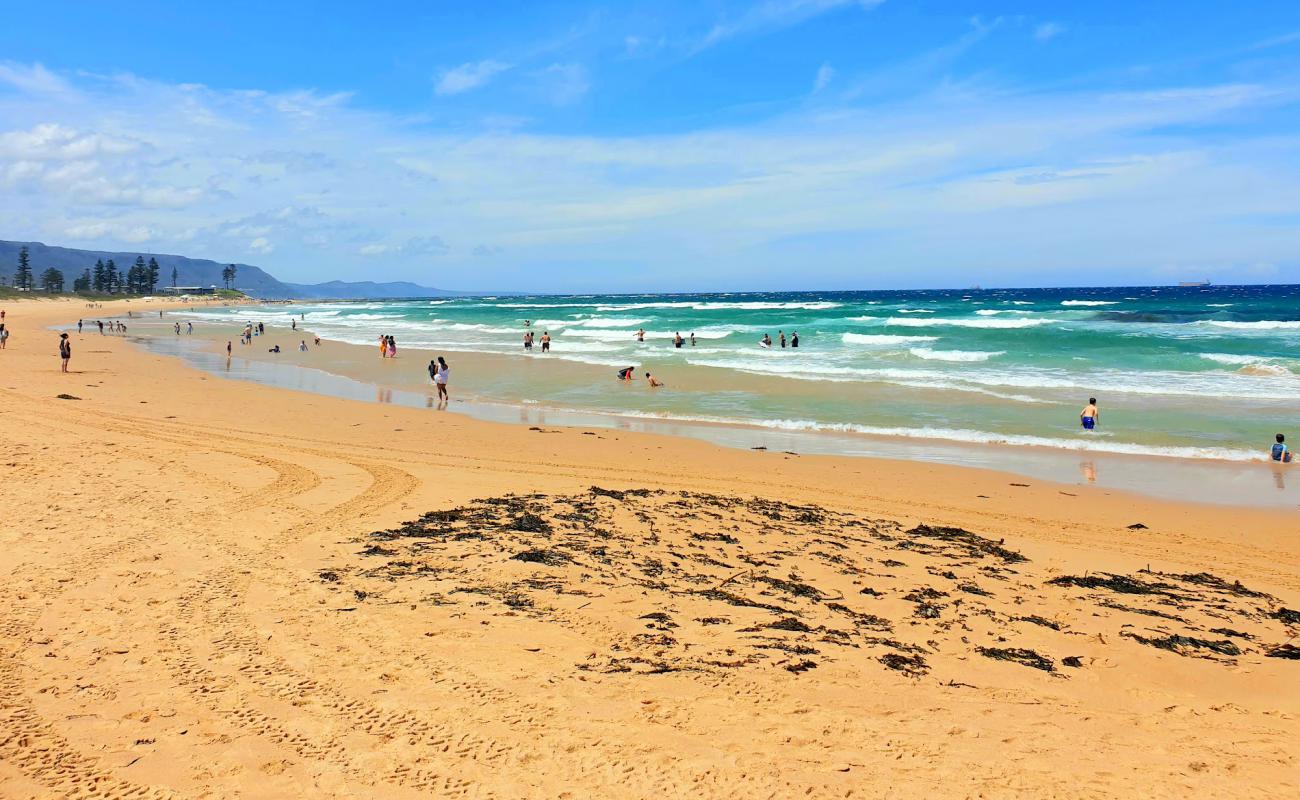 Foto af Bulli Beach med lys sand overflade