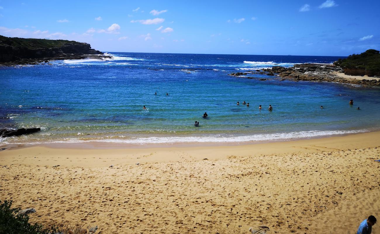 Foto af Little Bay Beach med lys sand overflade