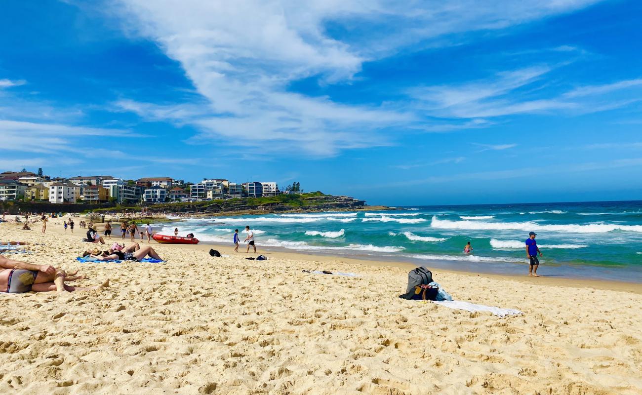 Foto af Maroubra Beach med lys sand overflade