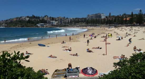 Coogee Strand