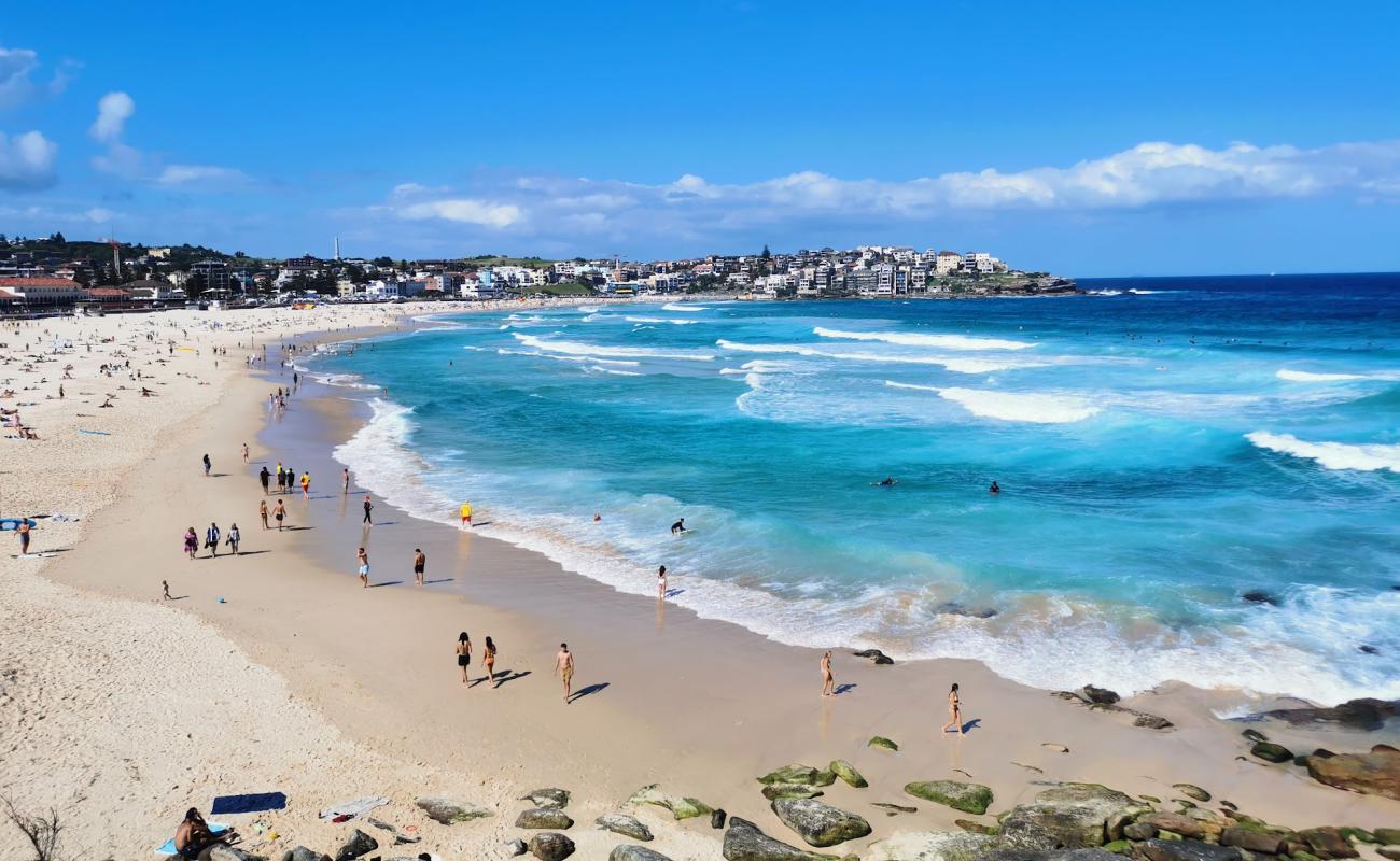 Foto af Bondi Beach med lys fint sand overflade