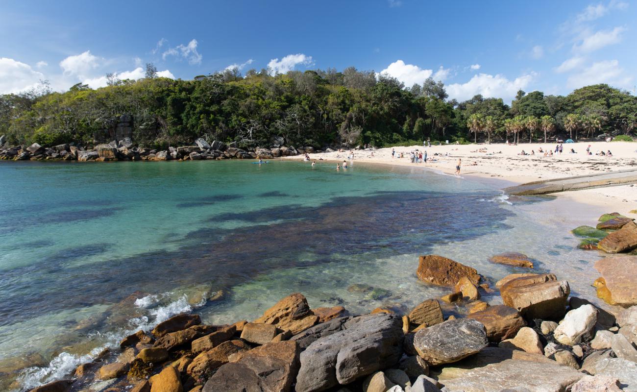 Foto af Shelly Beach med lys sand overflade