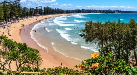 Manly Strand