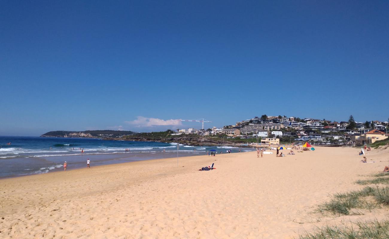 Foto af South Curl Curl Beach med lys fint sand overflade