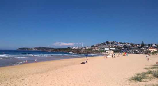 South Curl Curl Beach