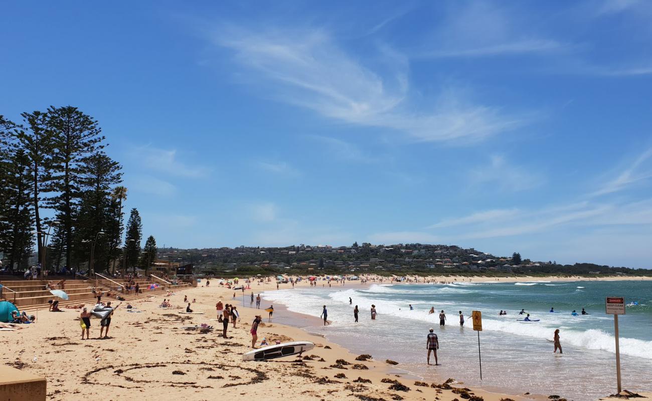 Foto af Dee Why Beach med lys fint sand overflade