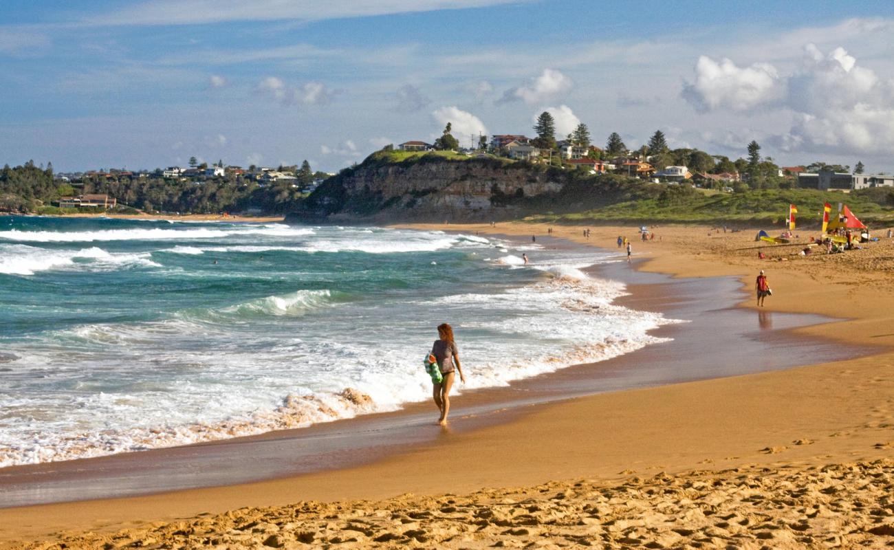 Foto af Mona Vale Beach med lys sand overflade