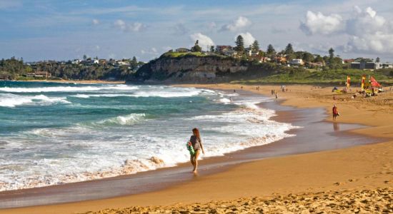 Mona Vale Beach