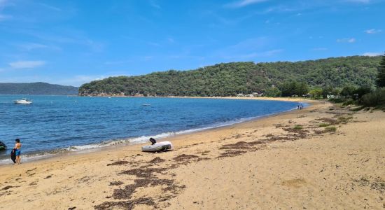 Patonga Beach