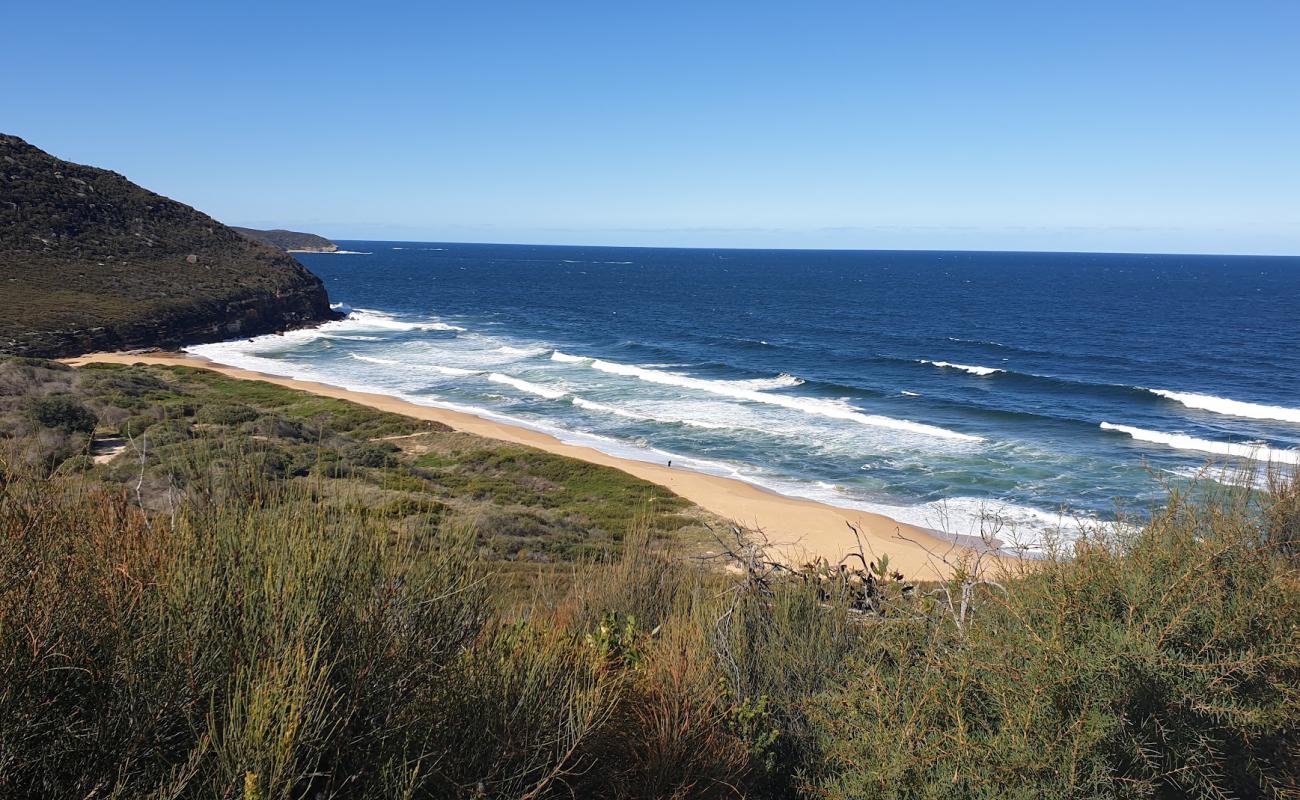 Foto af Tallow Beach med lys sand overflade