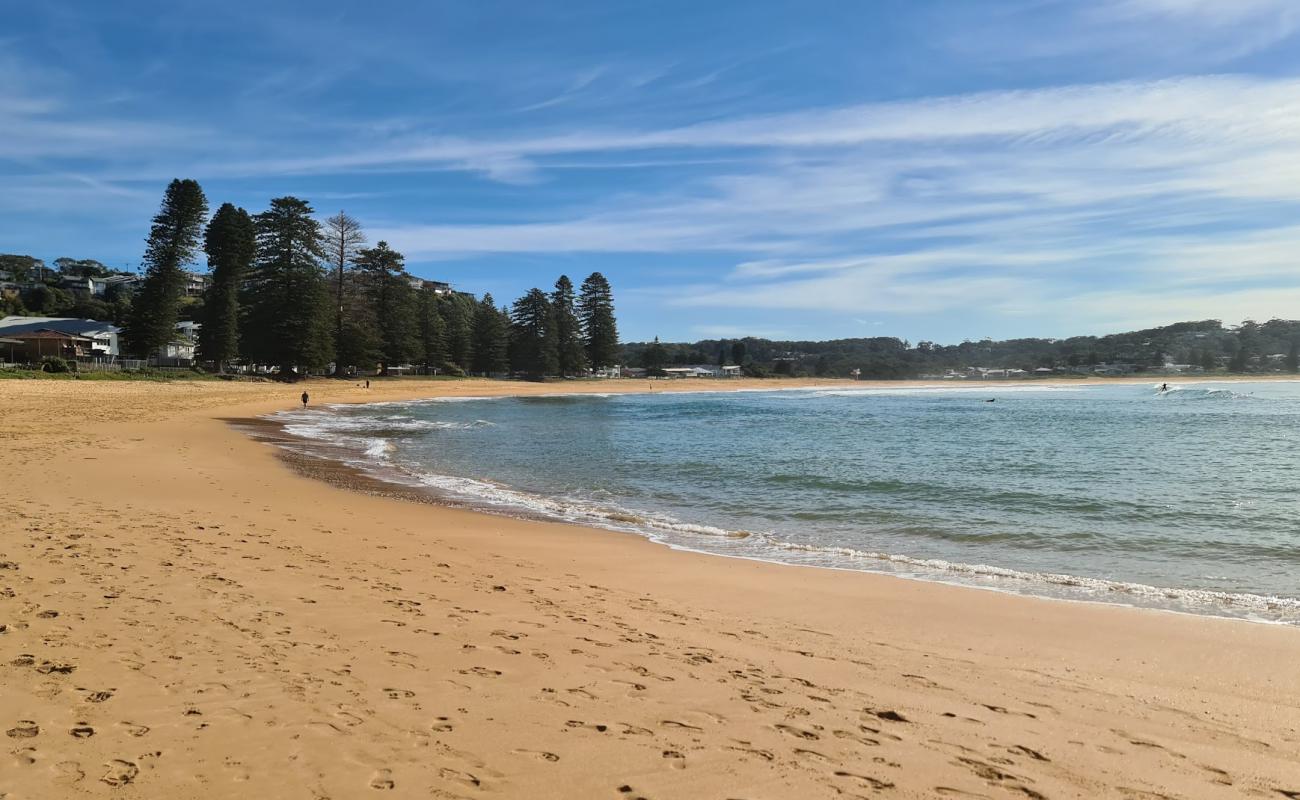 Foto af North Avoca Beach med lys fint sand overflade