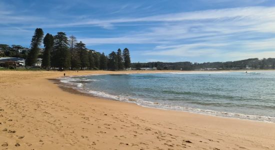 North Avoca Beach