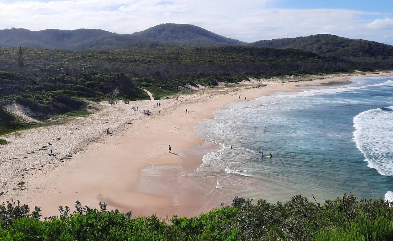 Foto af Grassy Beach med lys fint sand overflade