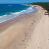 Forster Beach