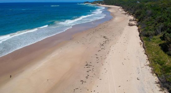 Forster Beach