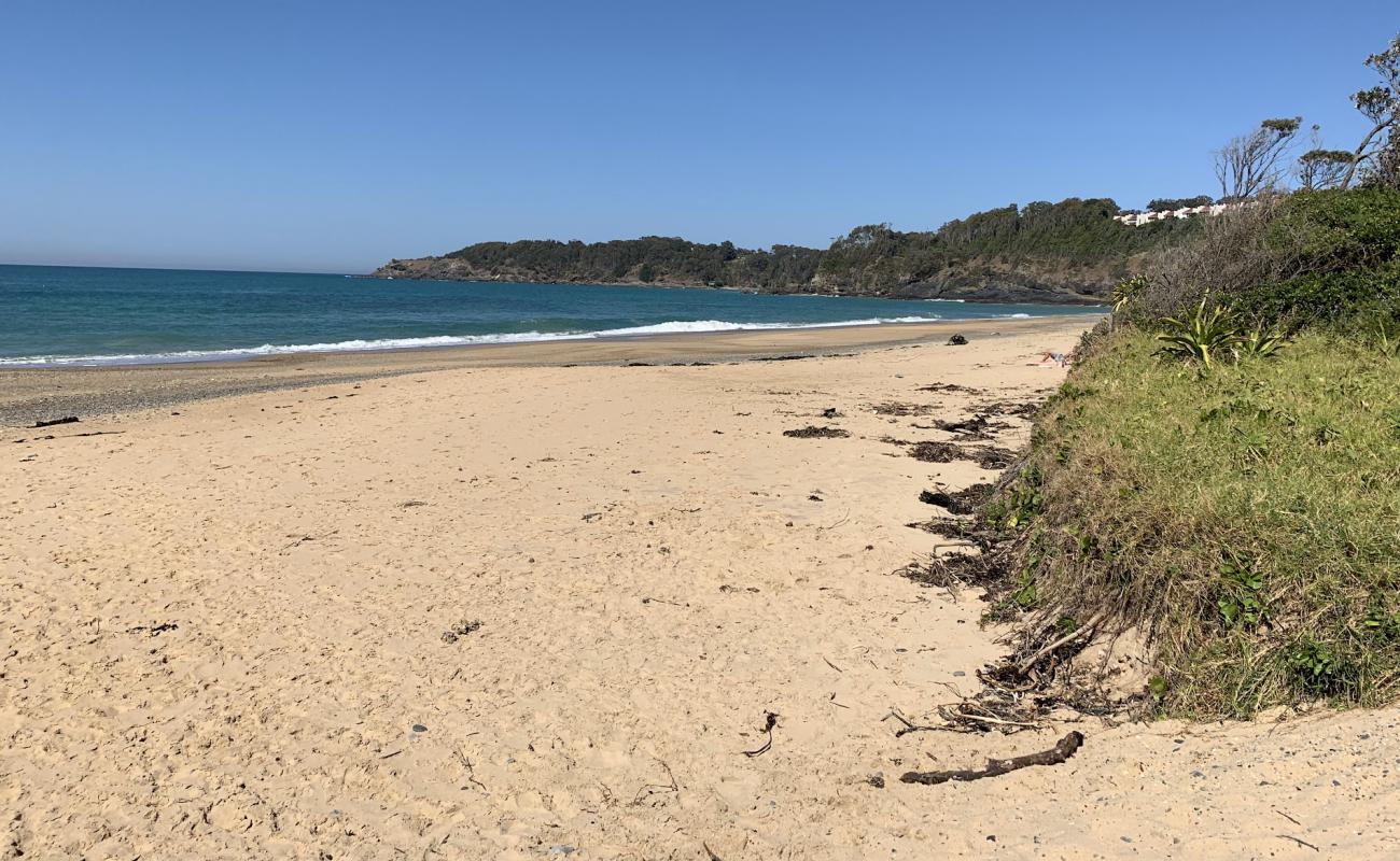 Foto af Korora Beach med lys sand overflade