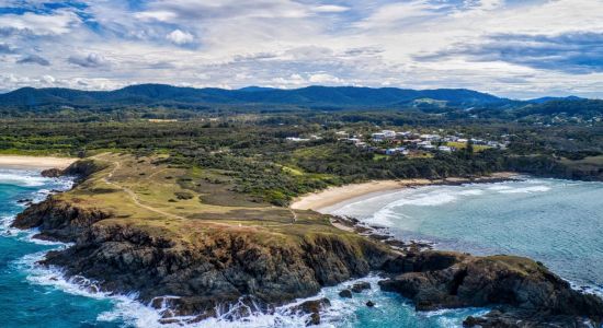 Shelly Beach