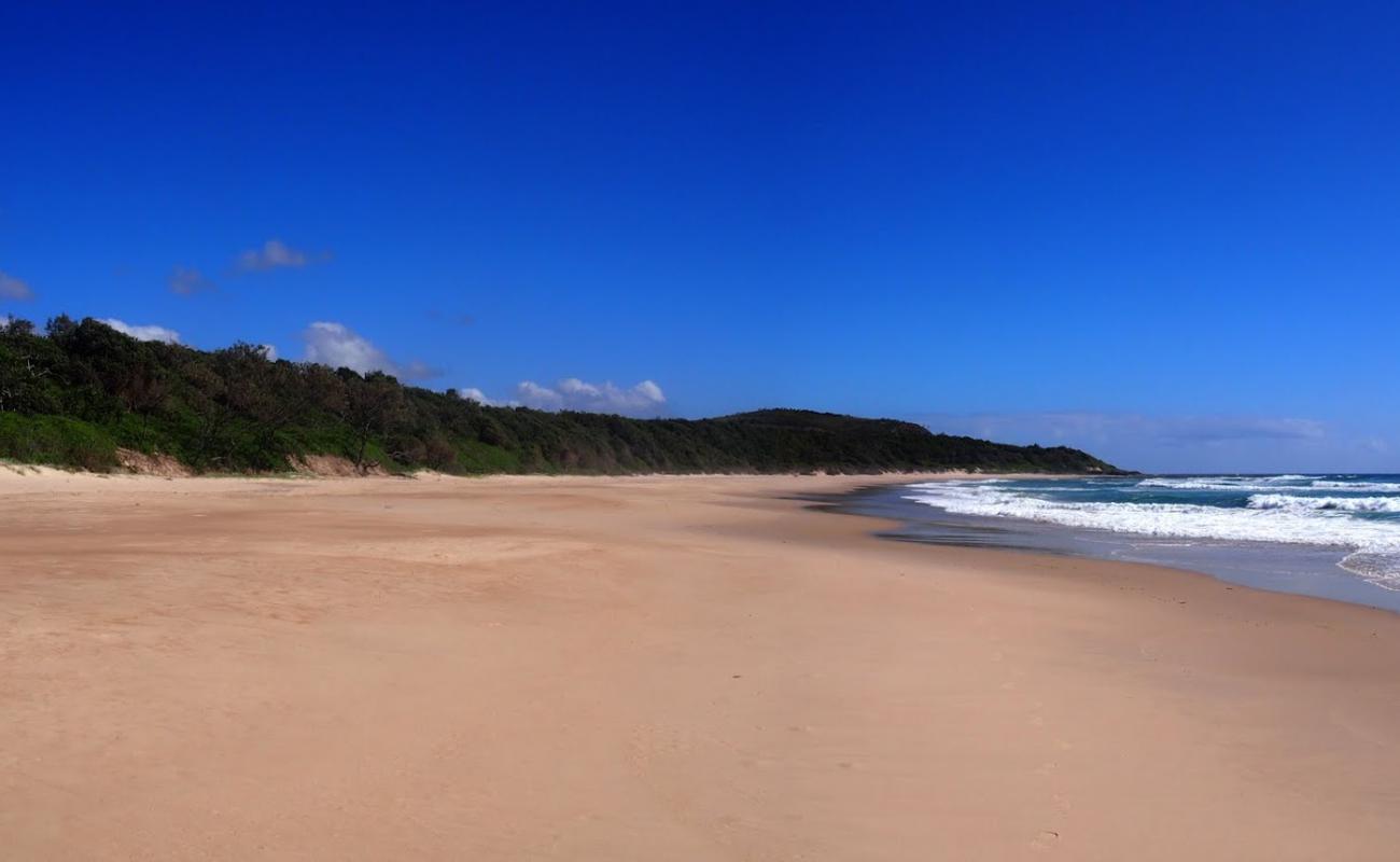 Foto af Little Shelley Beach med lys sand overflade