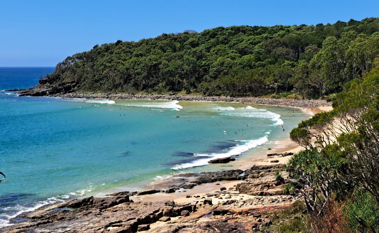 Foto af Tea Tree Bay Beach med lys sand overflade