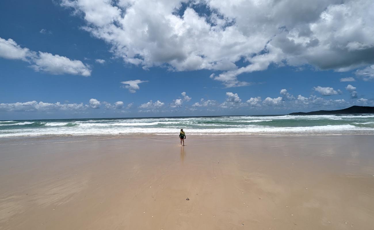 Foto af Noosa North Shore Beach med lys sand overflade