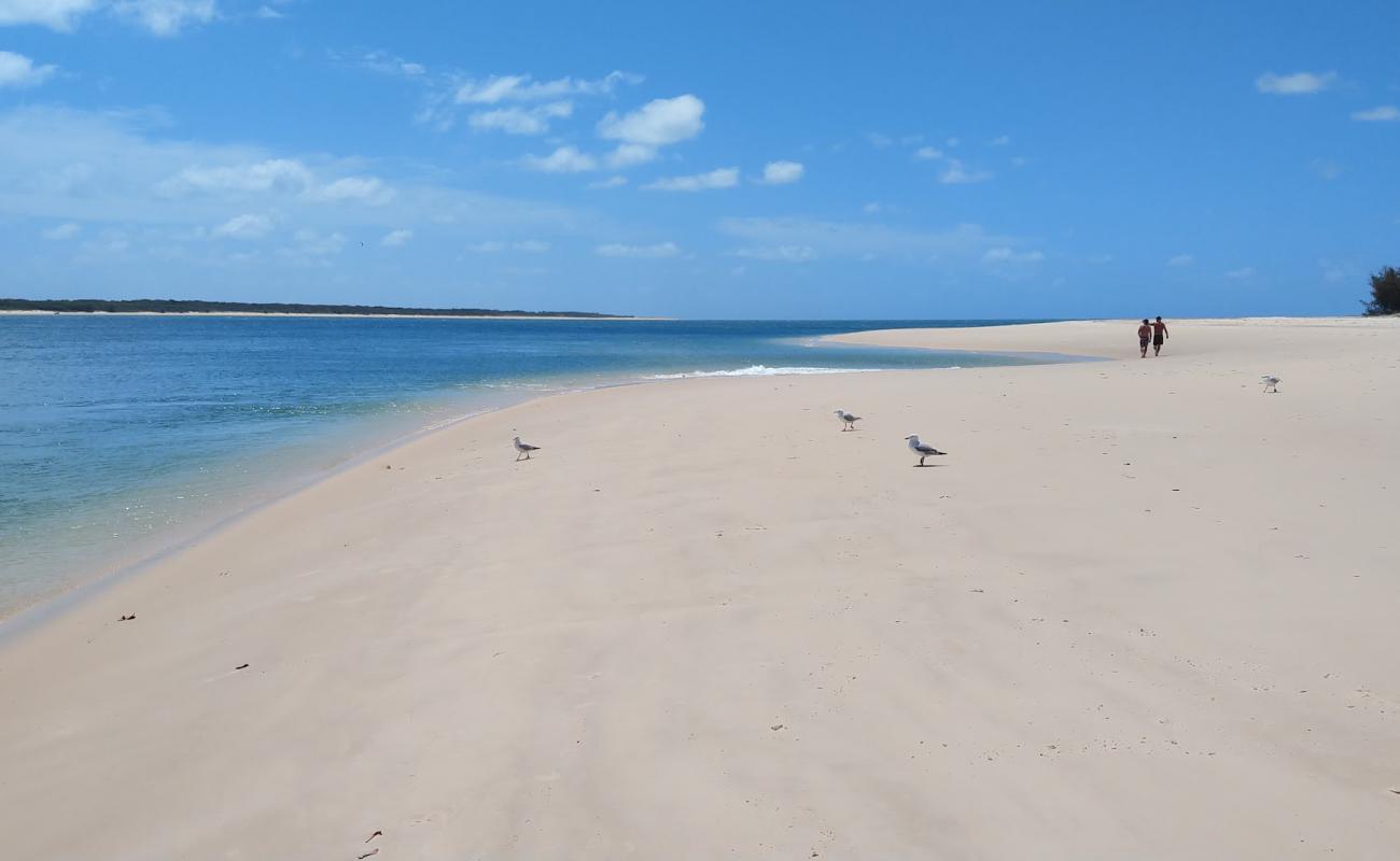 Foto af Inskip Point Beach med lys fint sand overflade