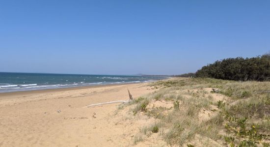 Wild Cattle Beach