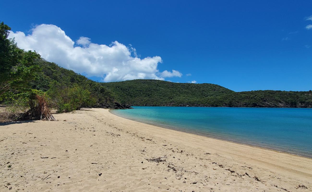 Foto af Coral Cove Beach med lys sand overflade