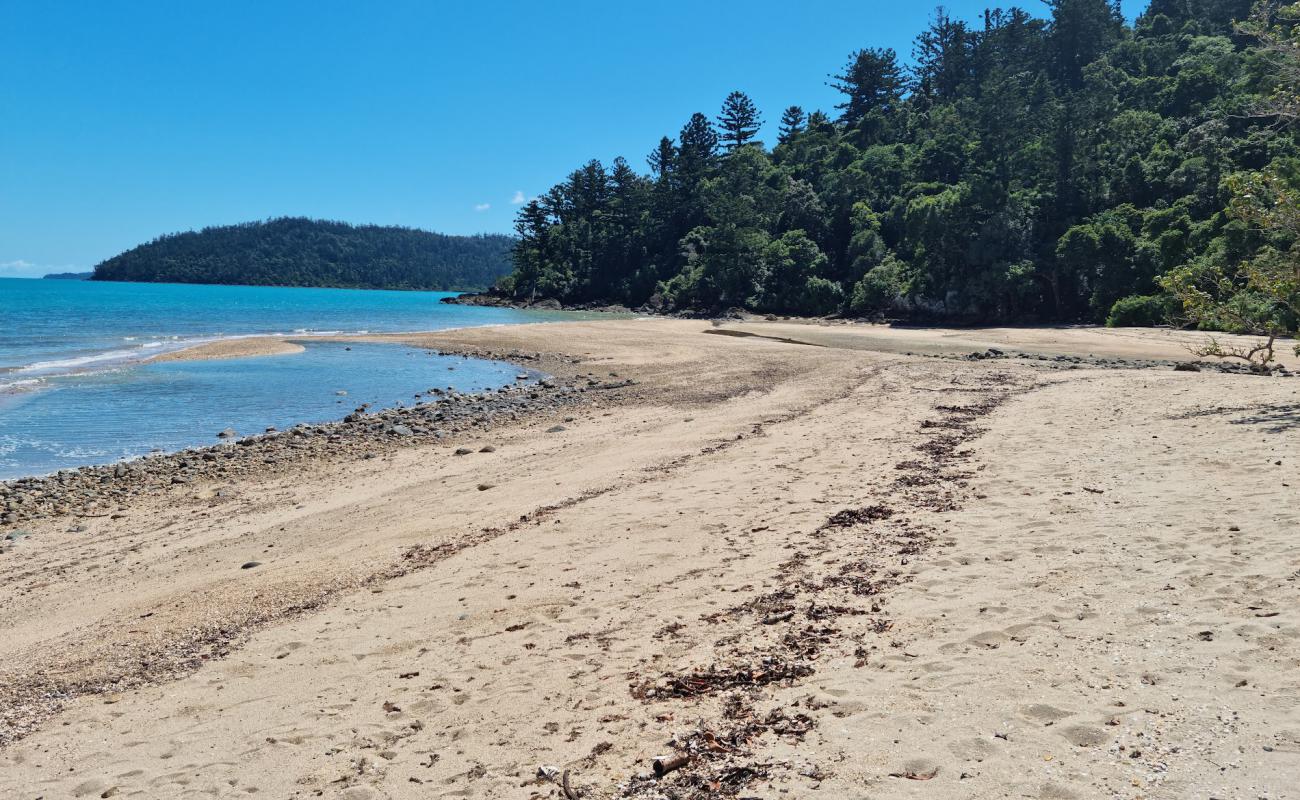 Foto af Sawmill Beach med lys sand overflade