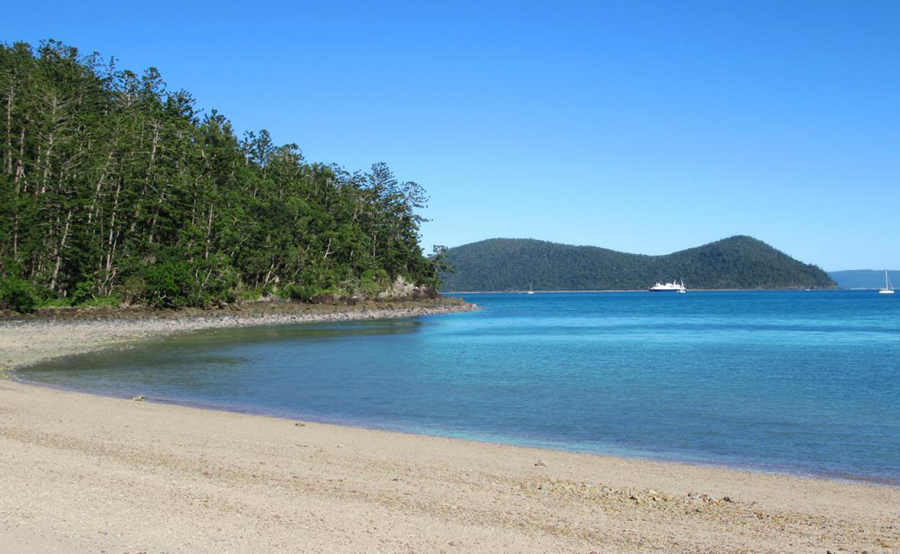 Foto af Dugong Beach med lys sand overflade