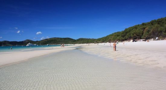 Whitehaven Beach