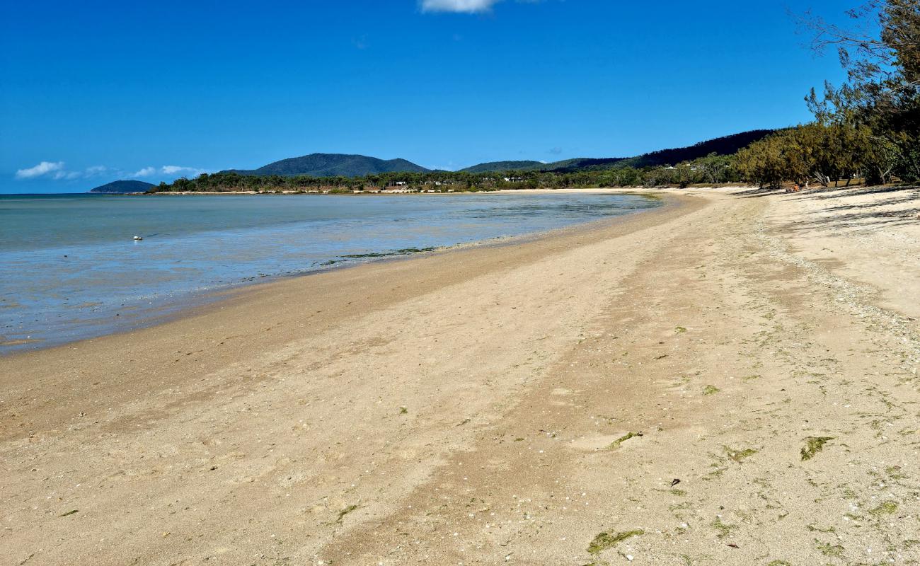 Foto af Dingo Beach med lys sand overflade