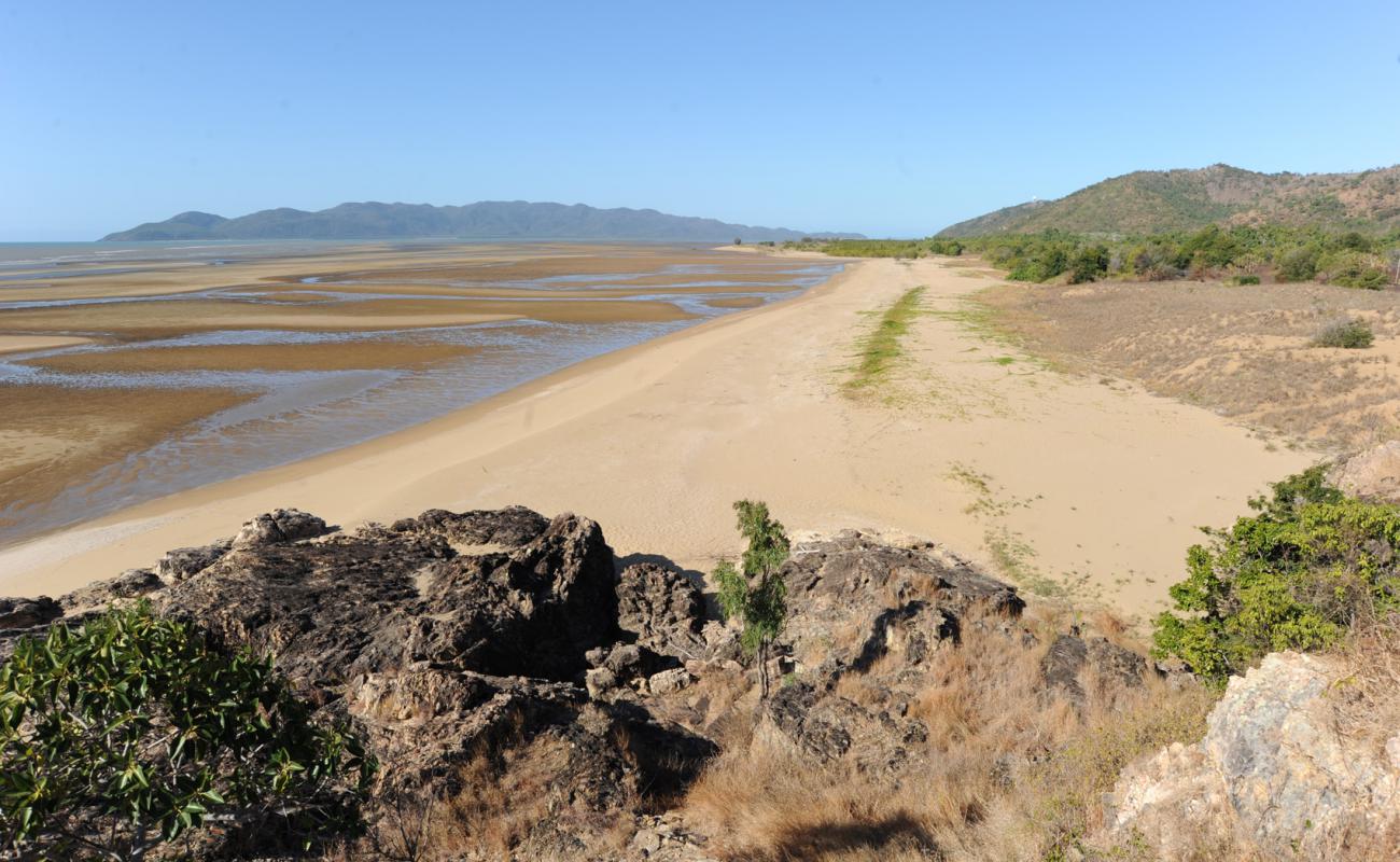 Foto af Shelly Beach med lys sand overflade