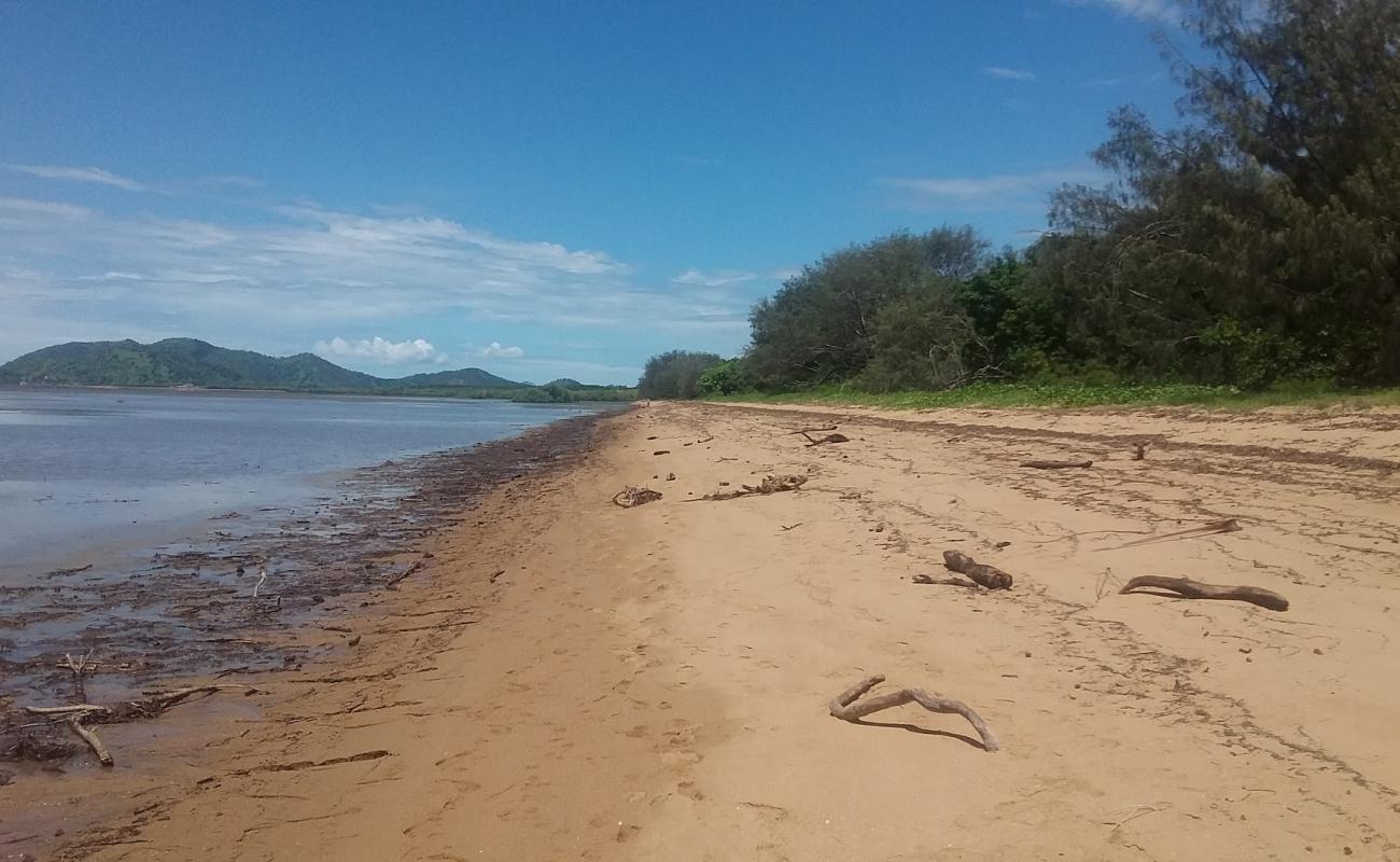 Foto af Bushland Beach med lys sand overflade