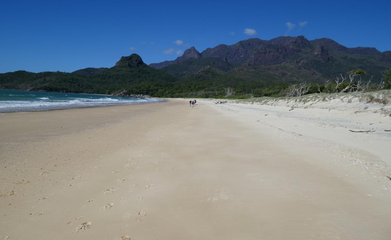 Foto af Ramsay Beach med lys sand overflade