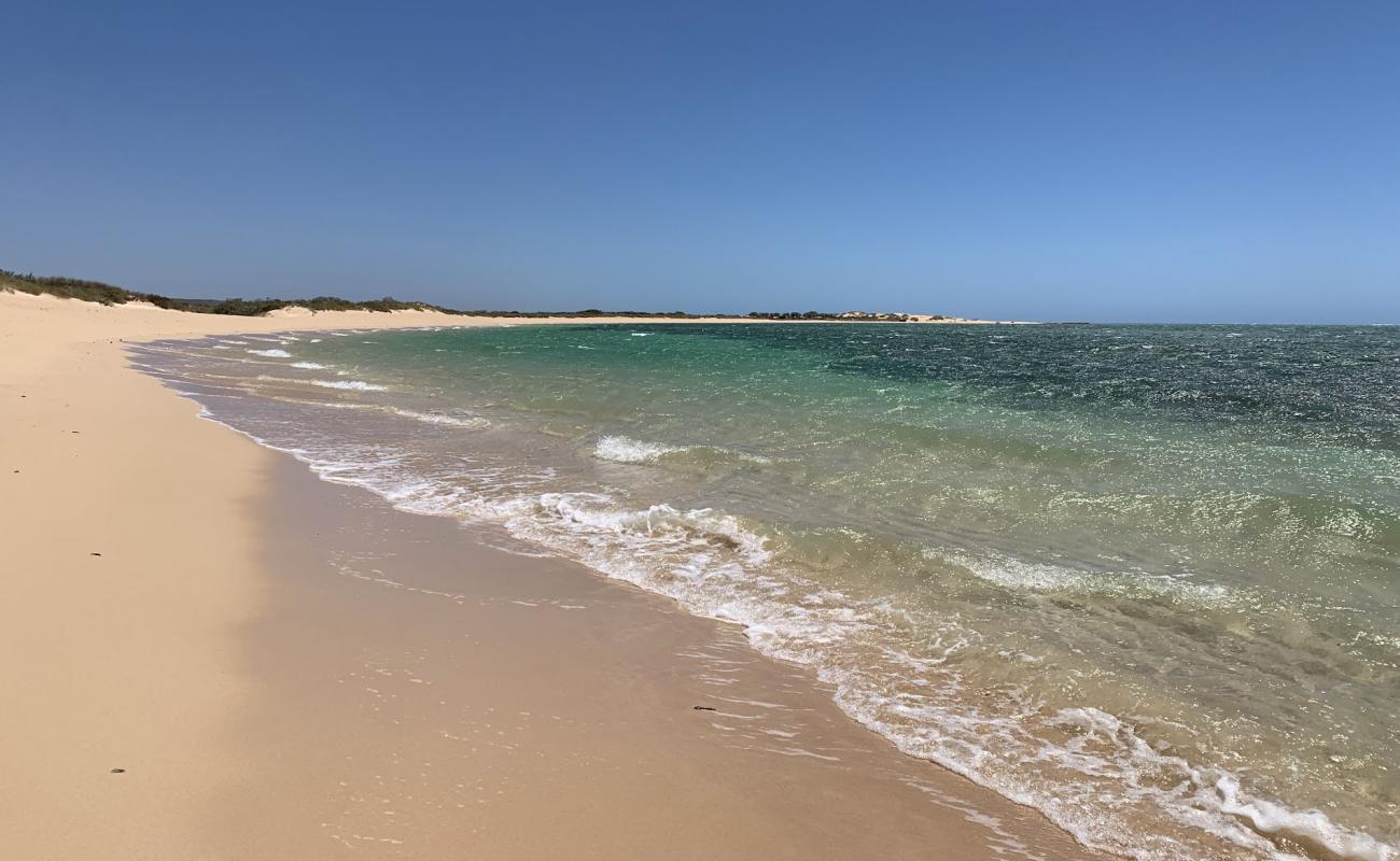 Foto af Neds Beach med lys sand overflade