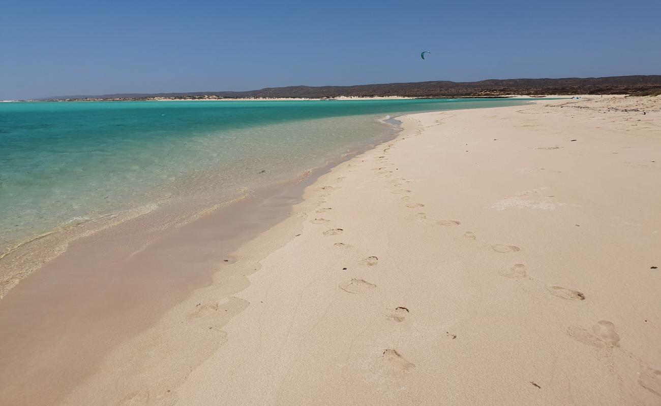 Foto af Ningaloo Coast Beach med lys fint sand overflade