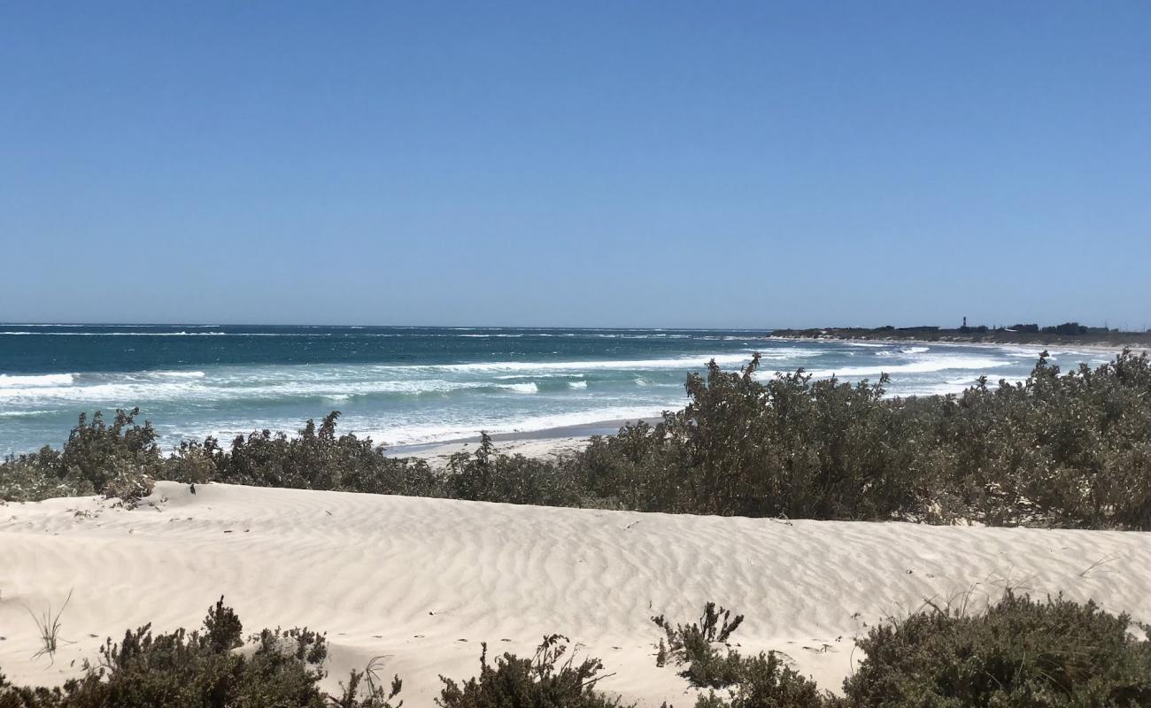 Foto af Tarcoola Beach med lys fint sand overflade