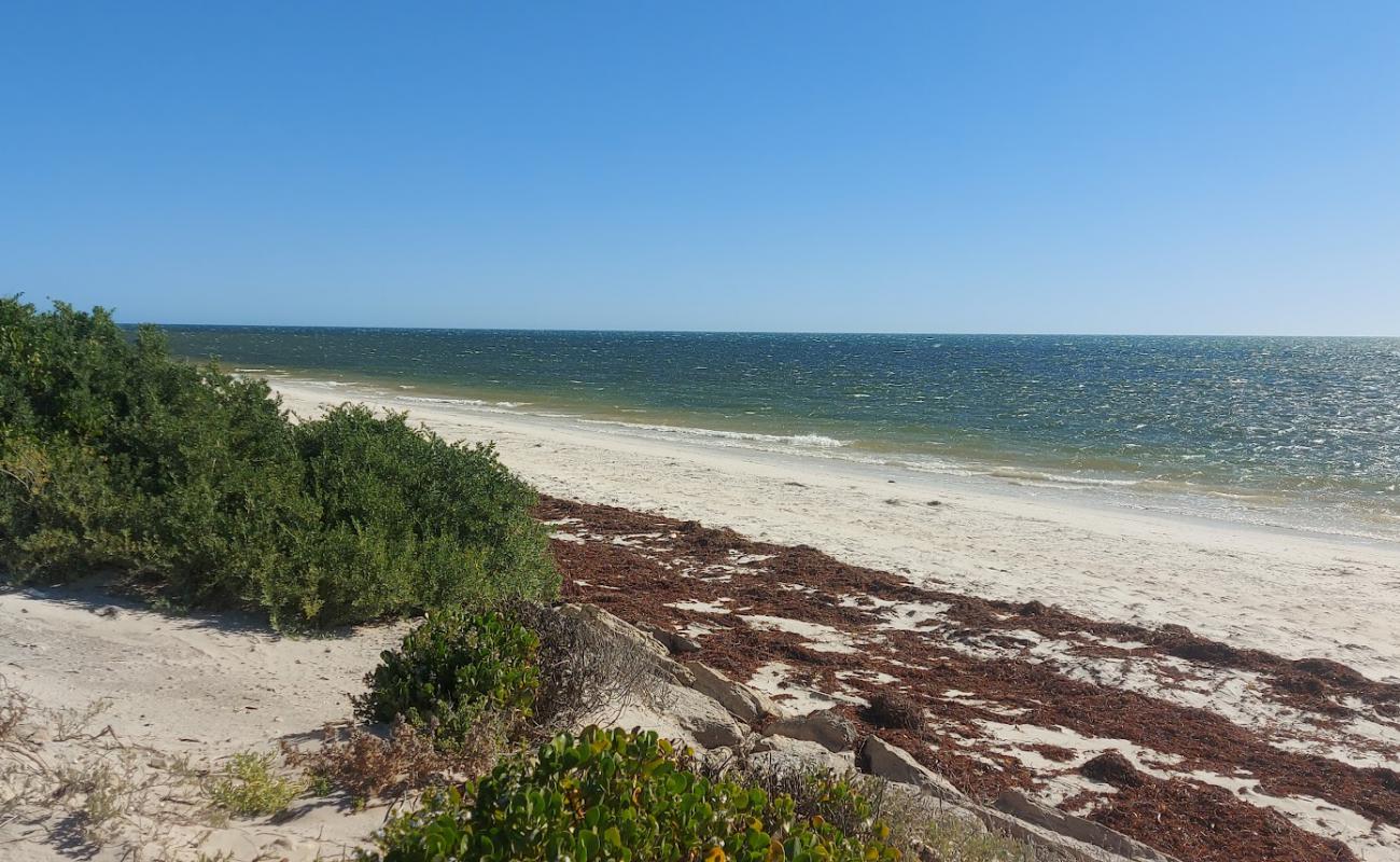 Foto af Illawong Beach med lys sand overflade