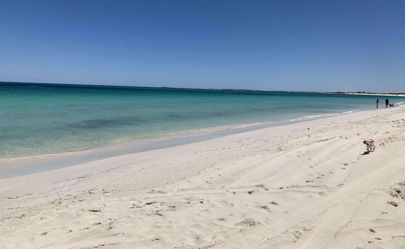 Foto af Jurien Dog Beach med hvidt sand overflade